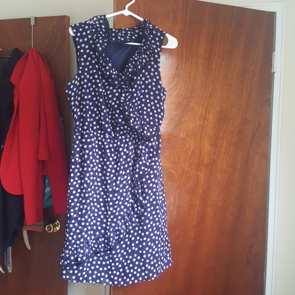 The Limited Ruffled dress